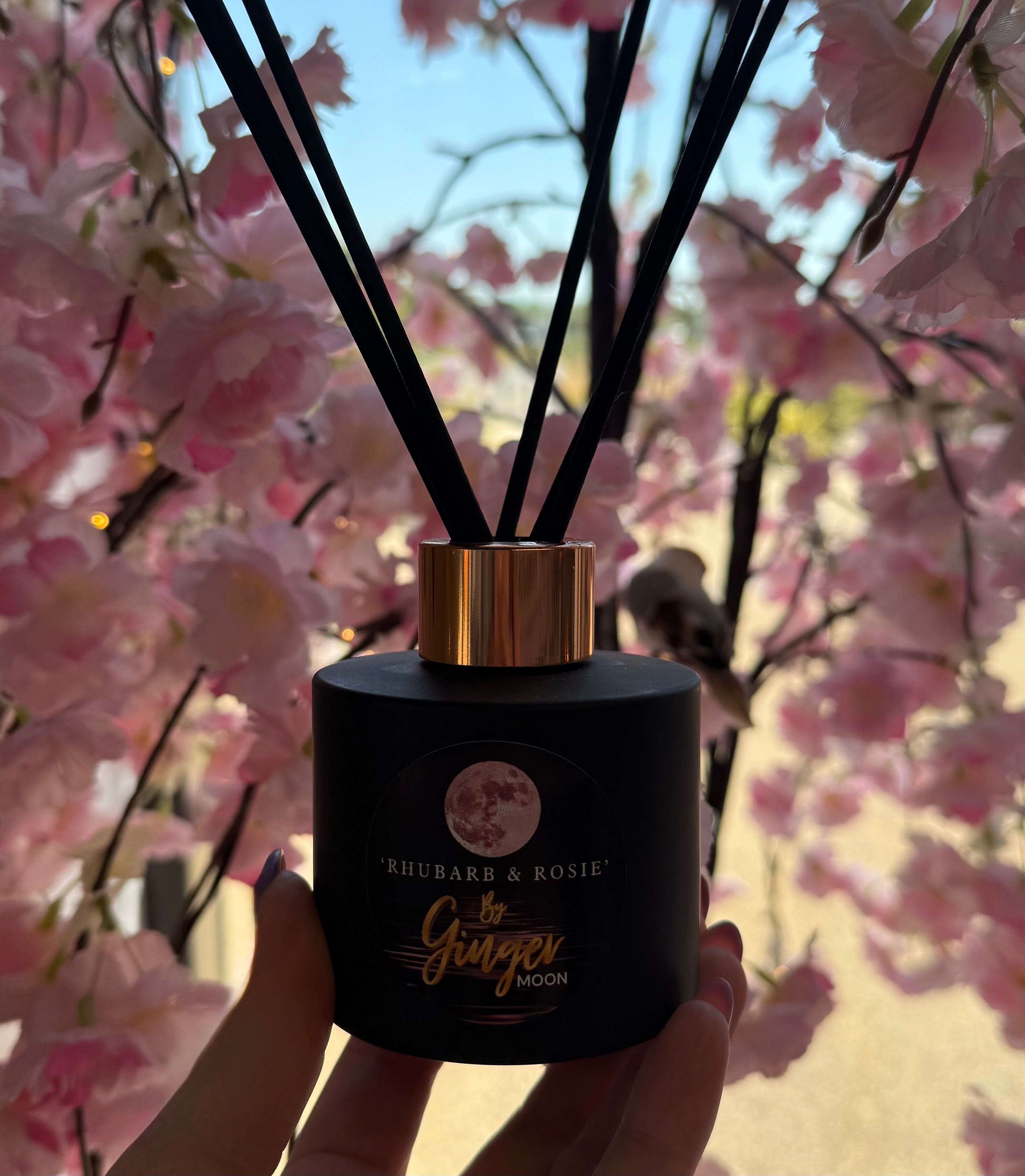 Ginger Moon Reed Diffuser – Long-Lasting Home Fragrance | Replenish ...