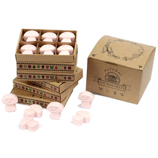 Soy wax melts in a cardboard box with decorative elements on a white background