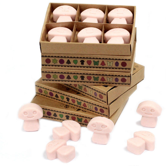 wax melts in a box