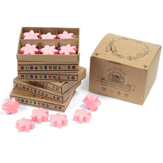Pink flower-shaped soy wax melts in cardboard boxes with 'Natural Soy Wax Melts' branding.