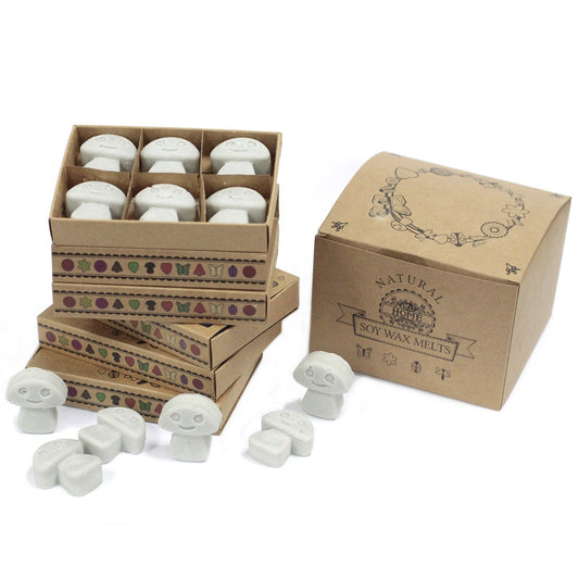 Soy wax melts in cardboard packaging with a decorative box on a white background