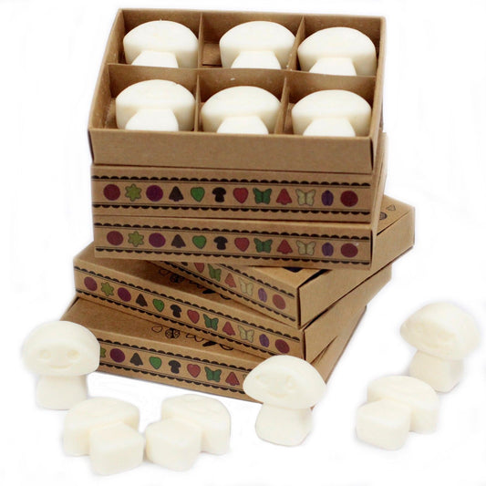 wax melts in a box